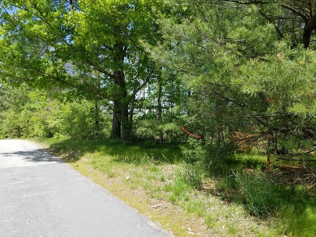 Five 5 Mile River Road Putnam, CT 06260 - Photo 8 of 11