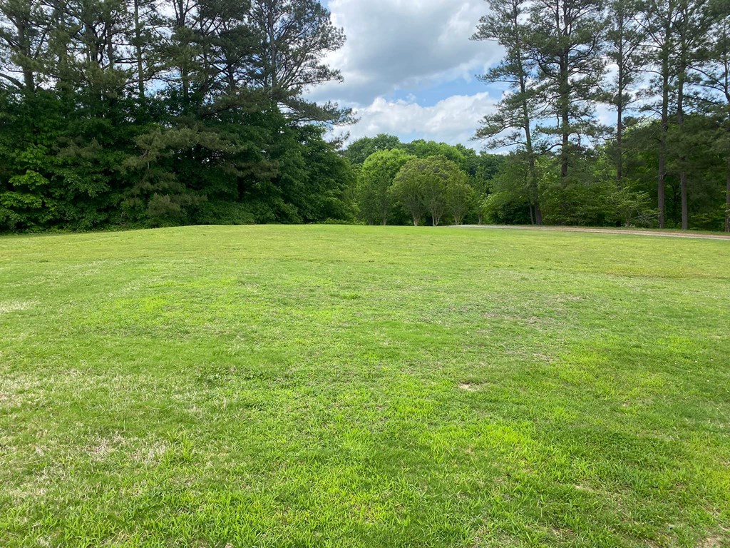 4546 Airport Road Southeast Dalton, GA 30721 - Photo 6 of 16 Gallery Image 6
