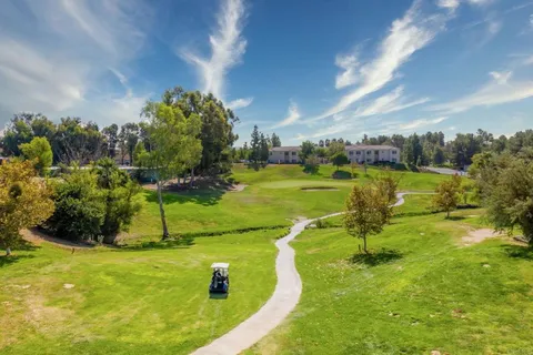 an aerial view of a house with a yard and potted plants