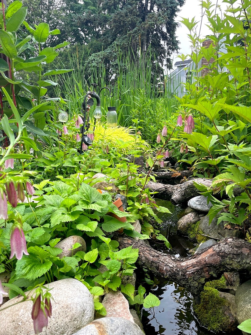 1203 Redfield Road Naperville, IL 60563 - Photo 2 of 4 a view of flowers in a garden