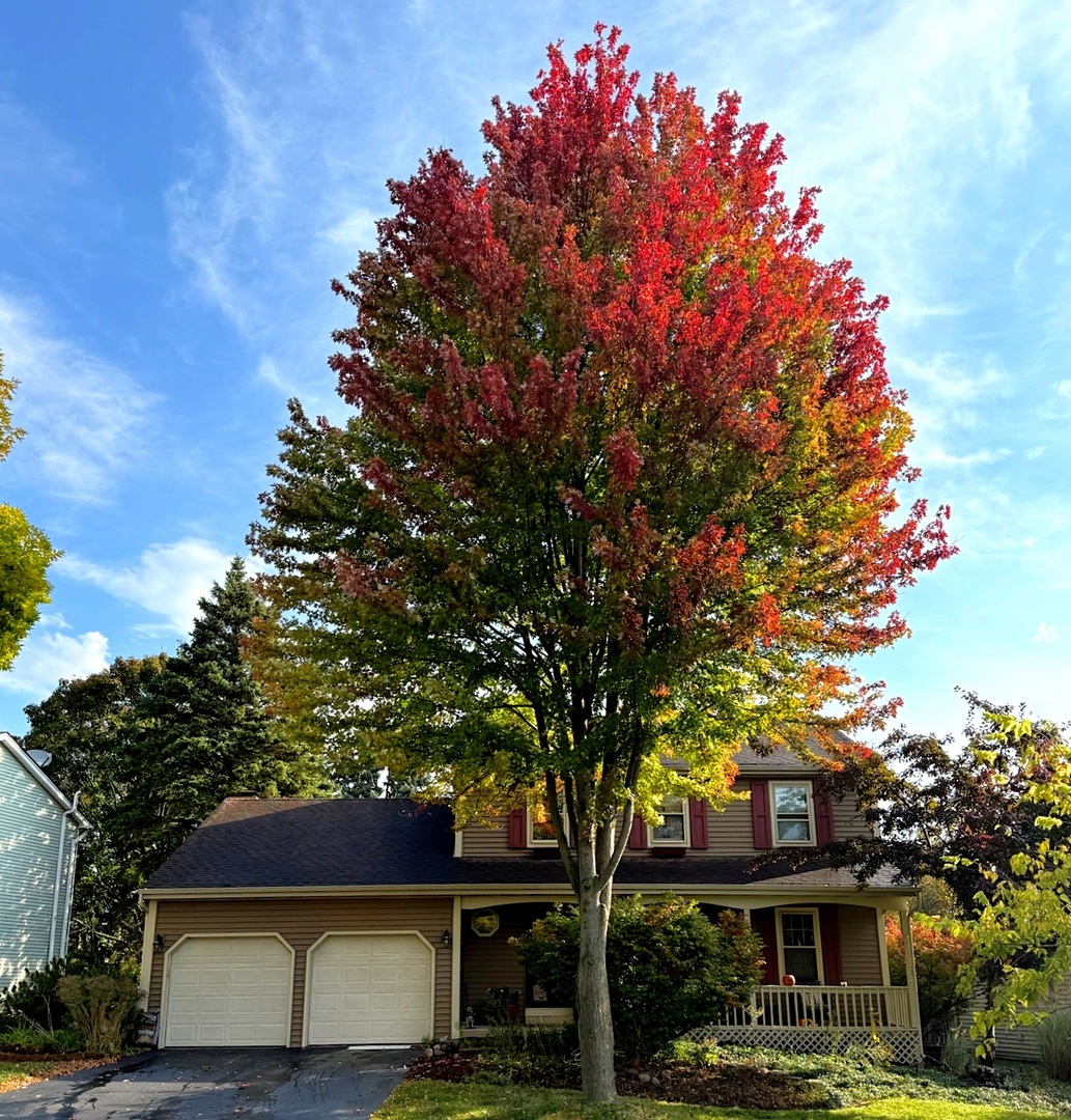 1203 Redfield Road Naperville, IL 60563 - Photo 4 of 4 a front view of a house with a tree