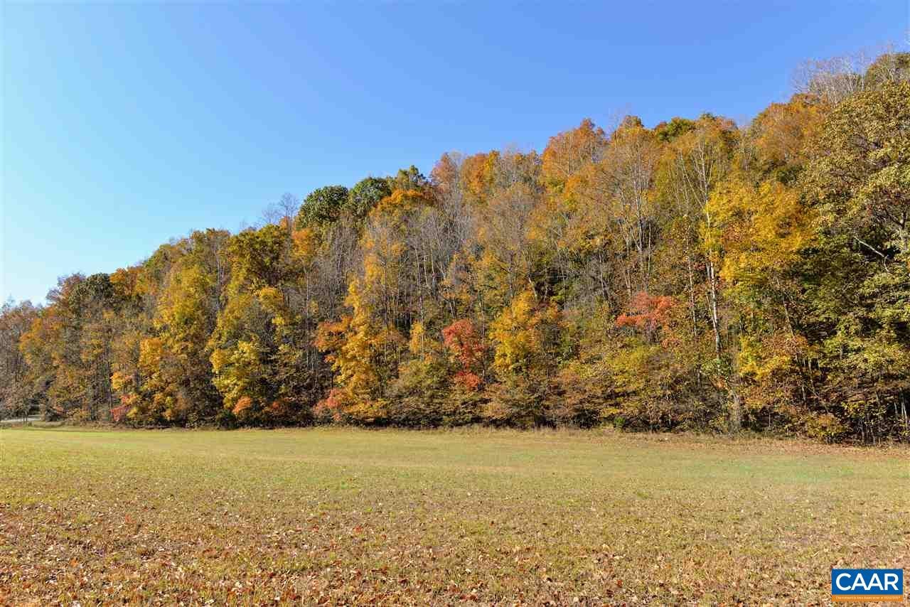 52 Berry Hill Road Faber, VA 22938 - Photo 15 of 20 Gallery Image 15