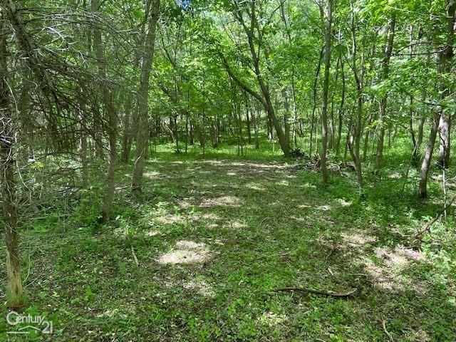 0 Marshall Road Ann Arbor, MI 48104 - Photo 7 of 7
