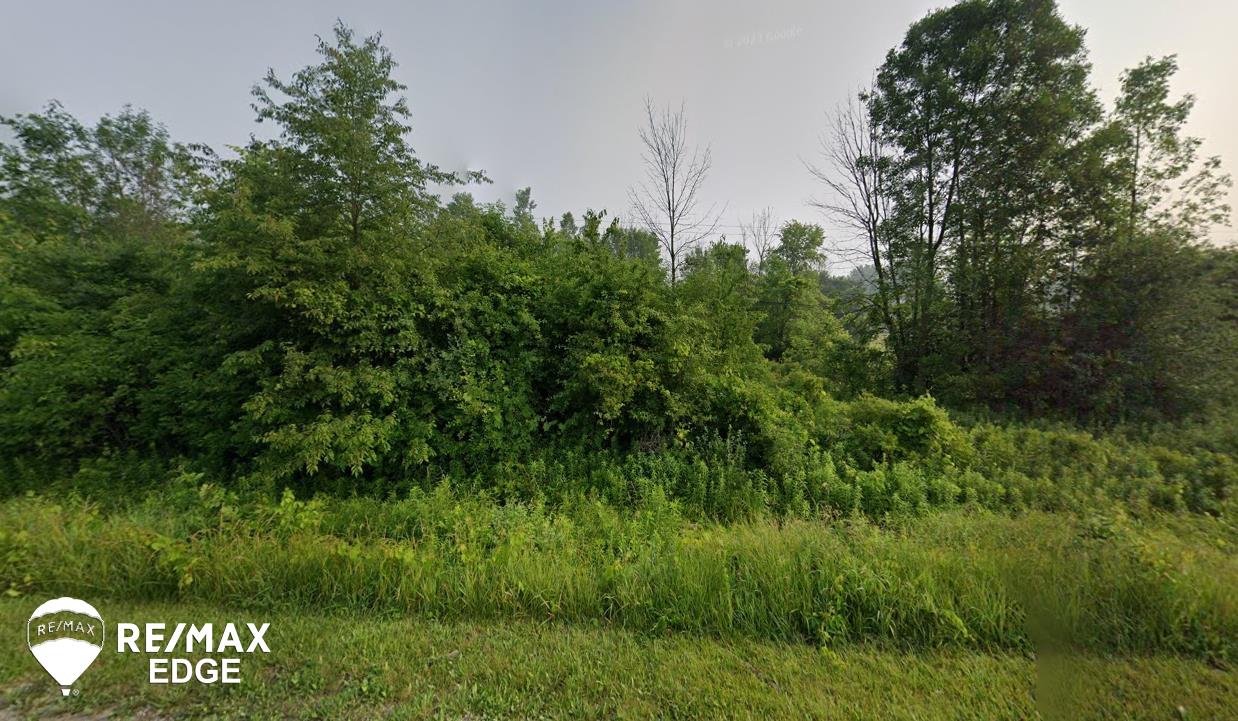 0 East Wilson Road Clio, MI 48420 - Photo 2 of 2