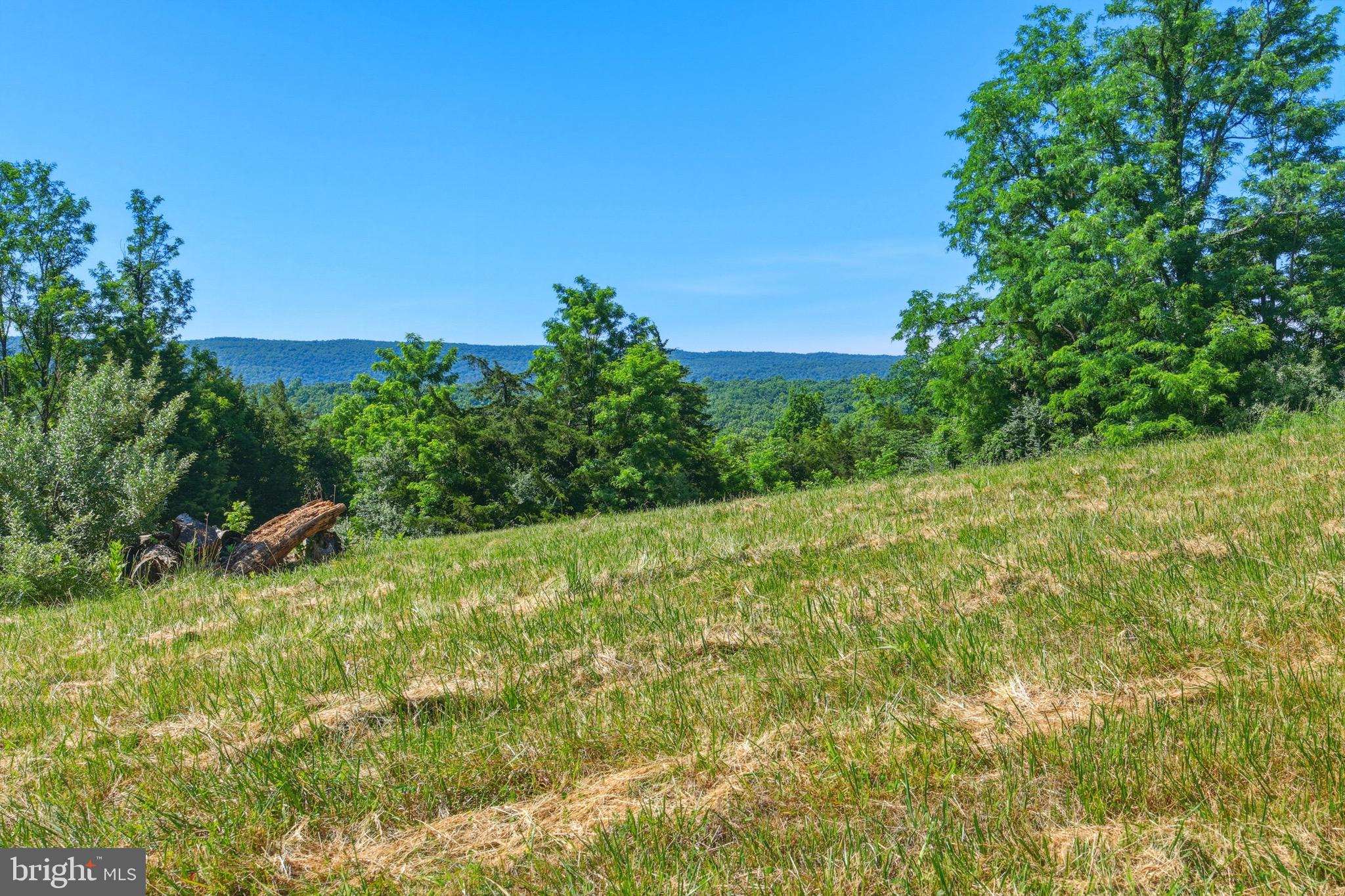 1639 Sugar Hill Road Maurertown, VA 22644 - Photo 19 of 62