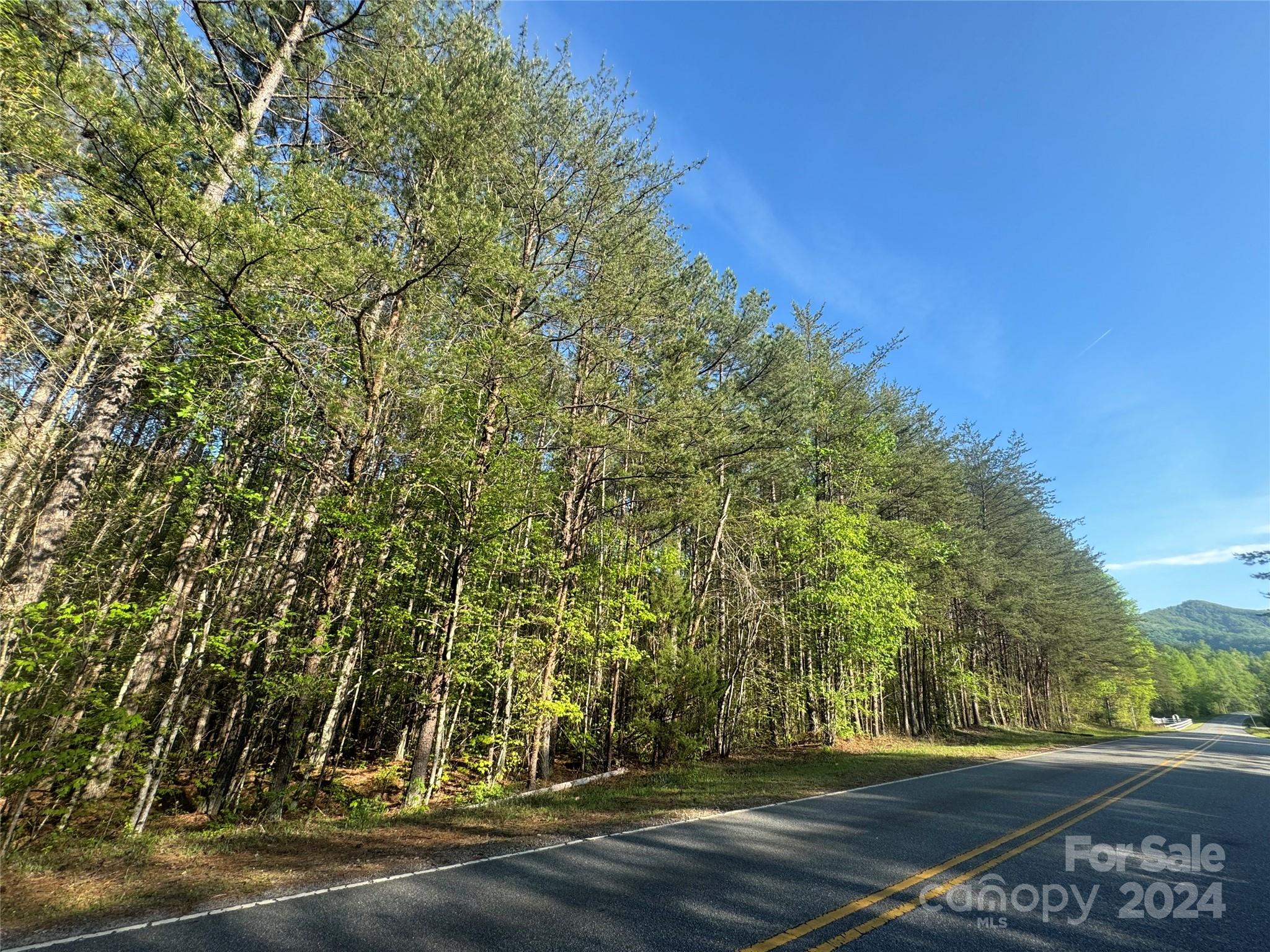 0 Garrett Rd Mill Spring Mill Spring, NC 28756 - Photo 2 of 4 a view of a yard
