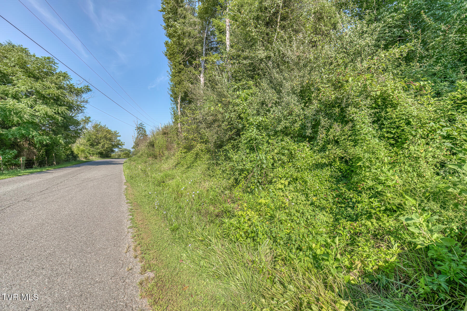 7467 Stanley Valley Road Gate City, VA 24251 - Photo 11 of 41 7467 Stanley Valley Rd-10
