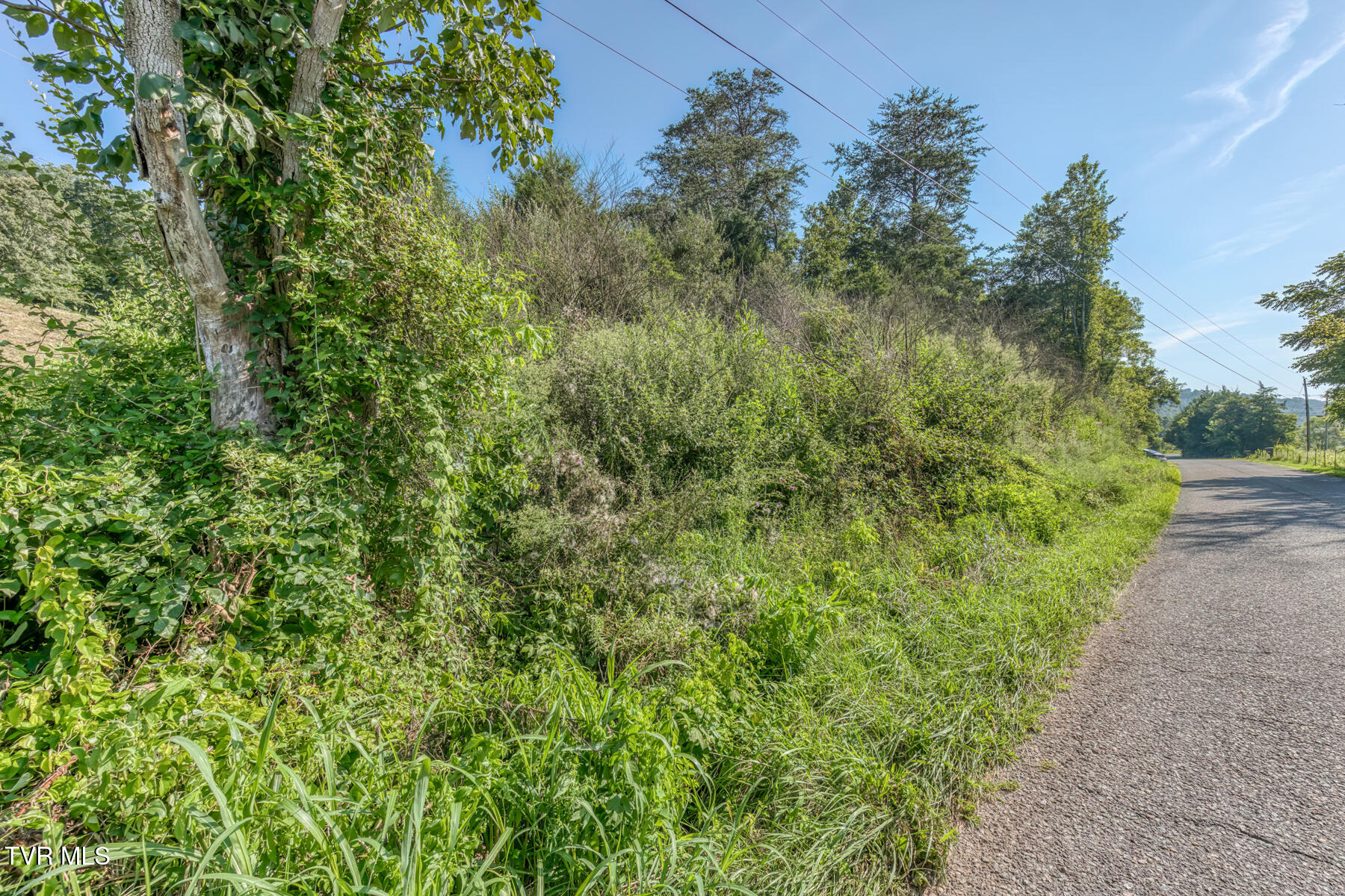 7467 Stanley Valley Road Gate City, VA 24251 - Photo 34 of 41 7467 Stanley Valley Rd-11