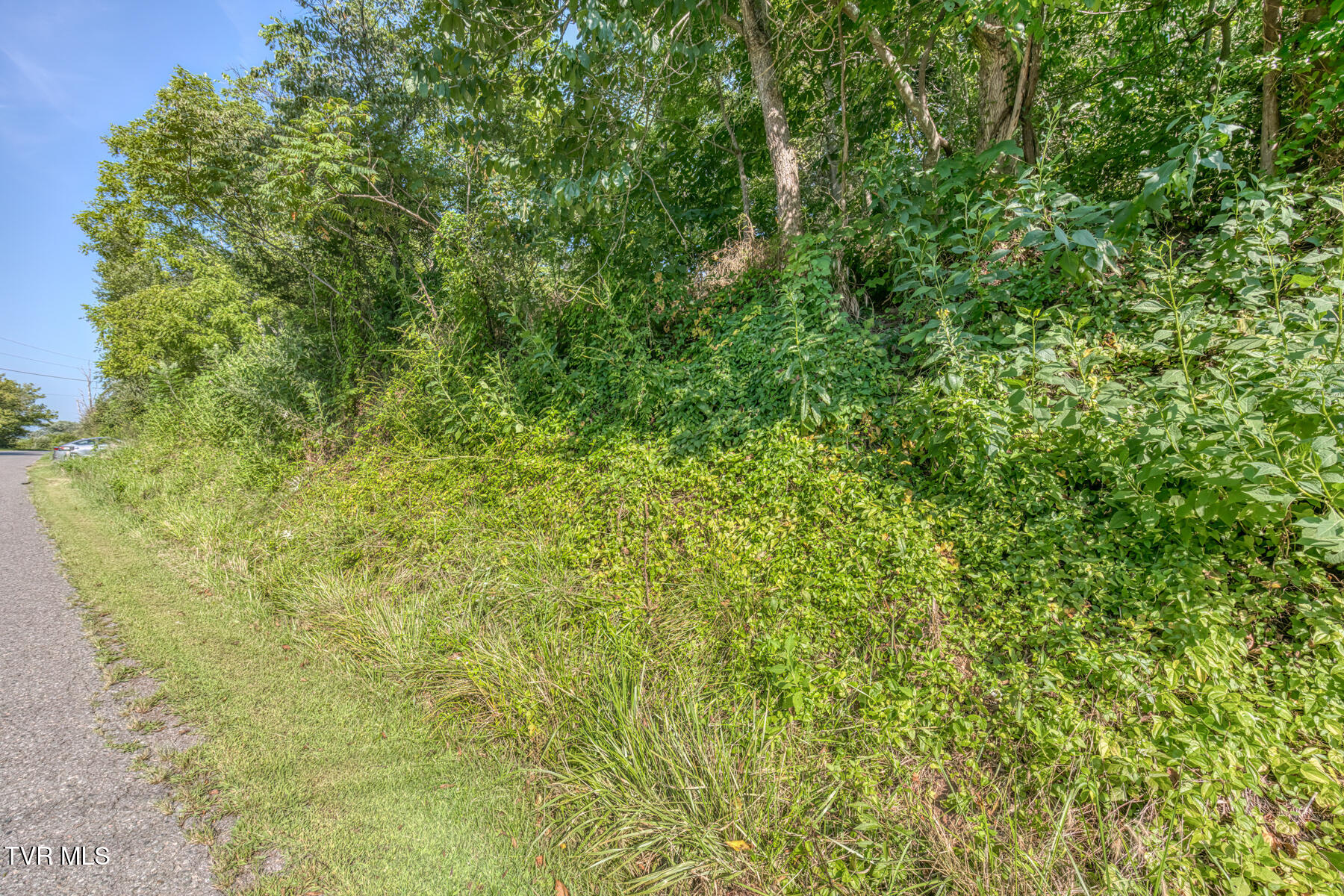 7467 Stanley Valley Road Gate City, VA 24251 - Photo 5 of 41 7467 Stanley Valley Rd-9