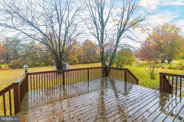 a deck with trees in front of it