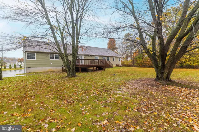 a view of a yard with a large tree