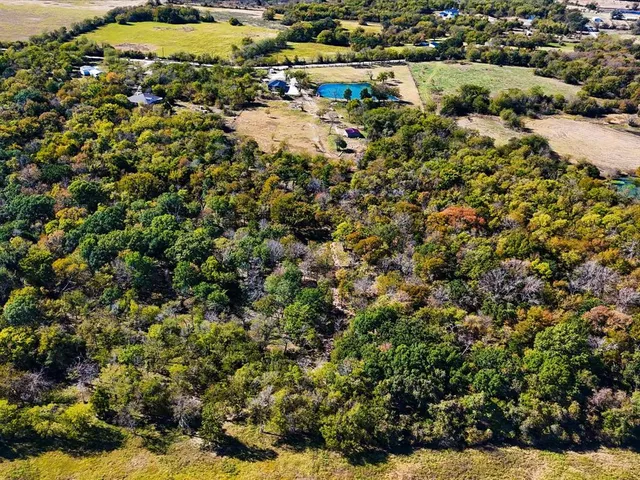 a view of a lots of trees and bushes