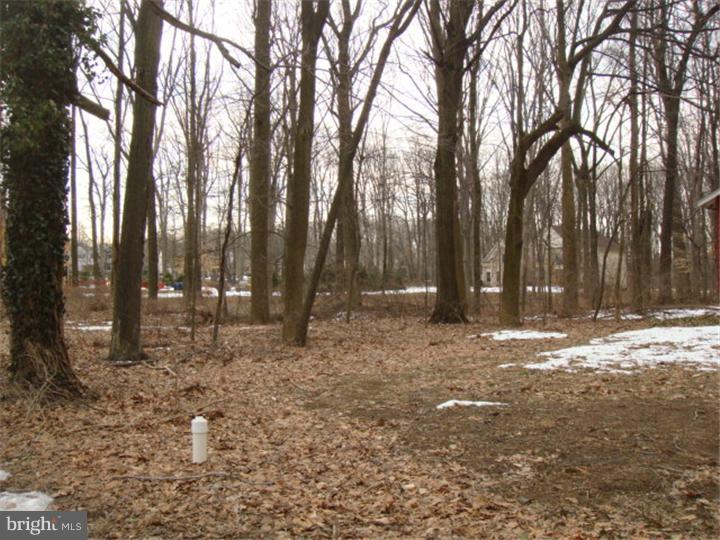 3786 Church School Road Doylestown, PA 18902 - Photo 2 of 7 Gallery Image 2