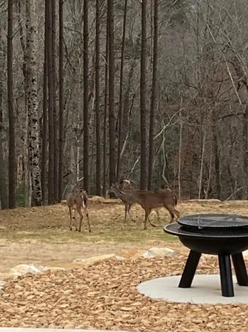 $3,700,000 | 5420 Raulston Falls Drive, Jasper, TN 37347