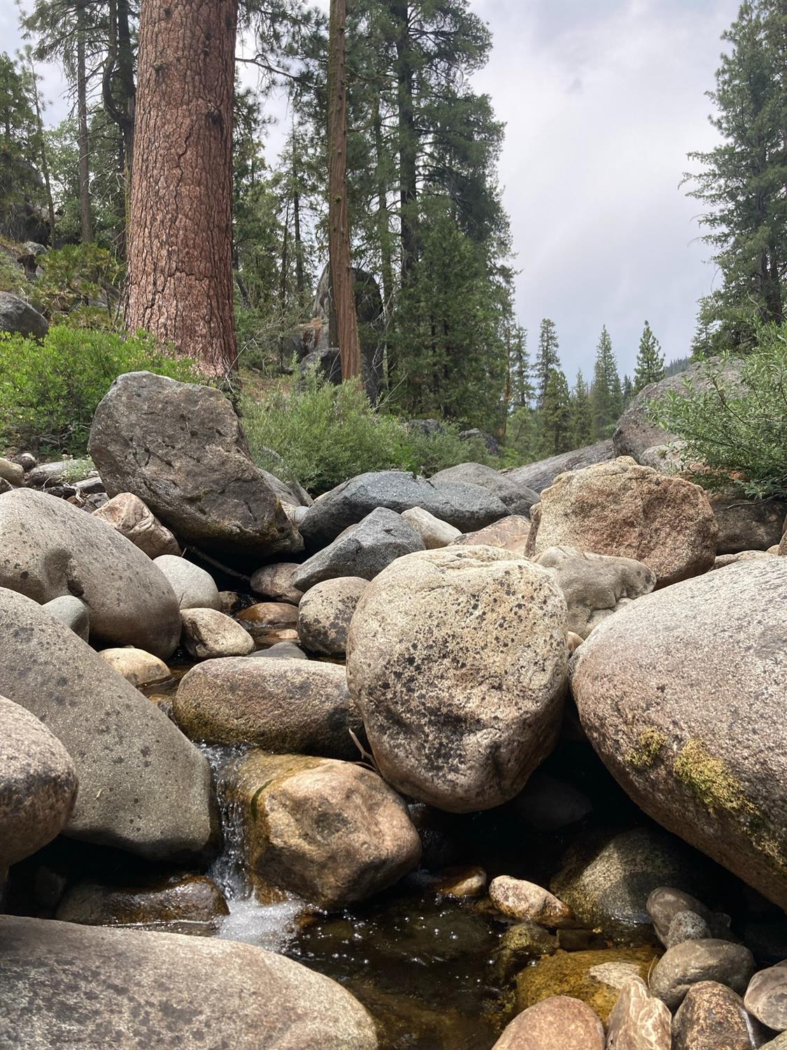 54841 Dinkey Creek Road Shaver Lake, CA 93664 - Photo 13 of 26