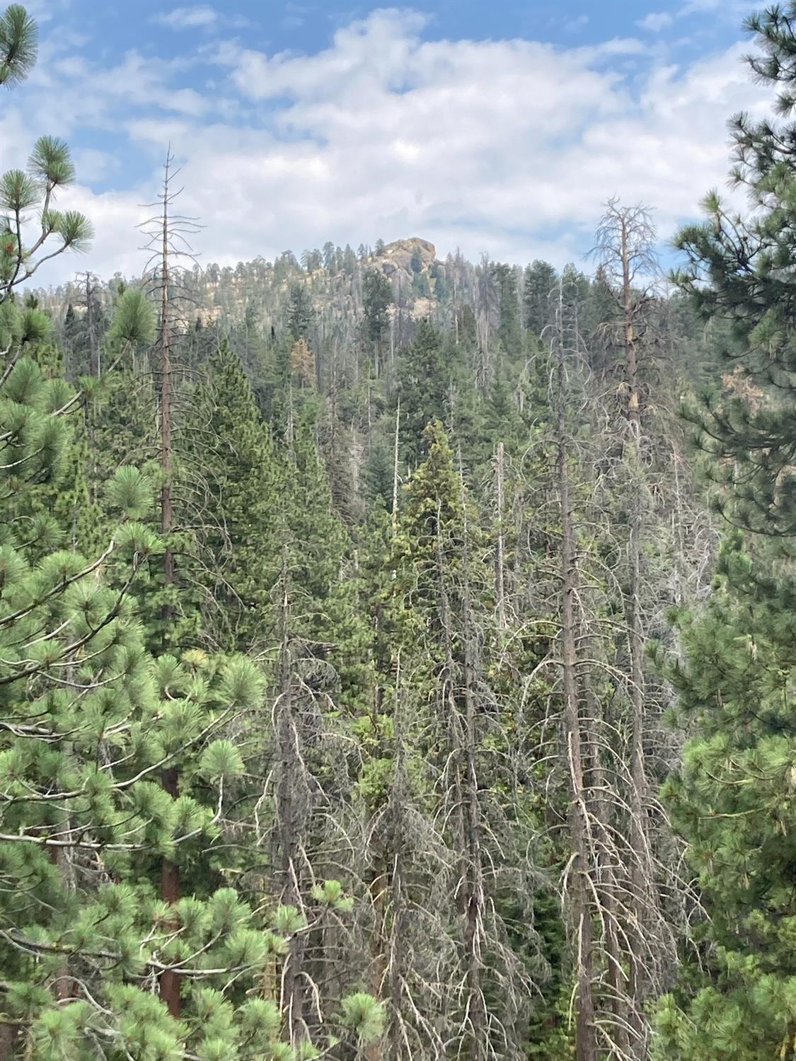 54841 Dinkey Creek Road Shaver Lake, CA 93664 - Photo 14 of 26