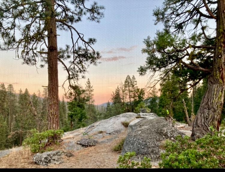 54841 Dinkey Creek Road Shaver Lake, CA 93664 - Photo 20 of 26