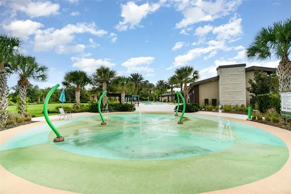 a swimming pool with lots of tress in front of it