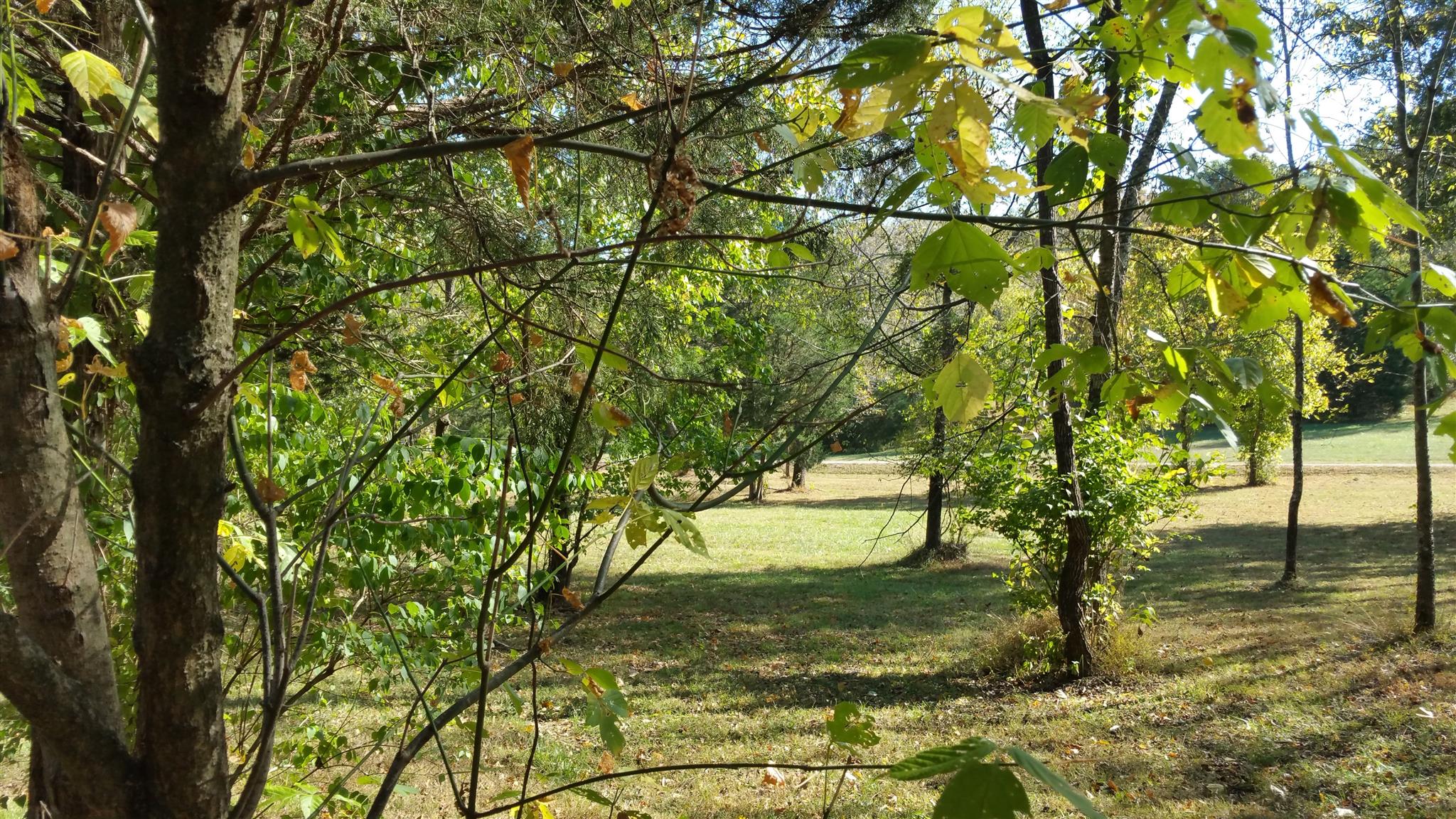 212 Green Road Franklin, TN 37069 - Photo 11 of 17 Gallery Image 11