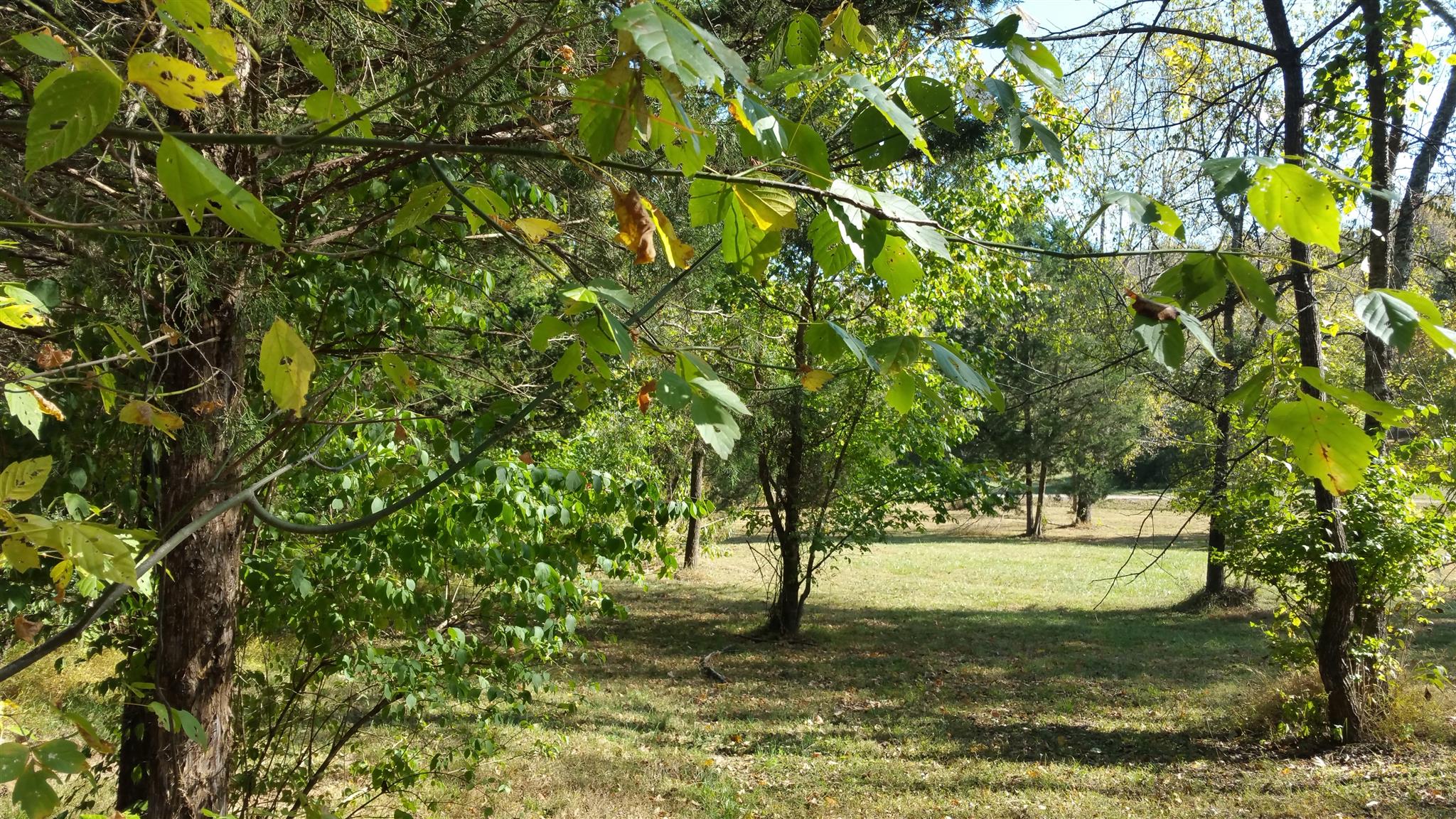 212 Green Road Franklin, TN 37069 - Photo 12 of 17 Gallery Image 12