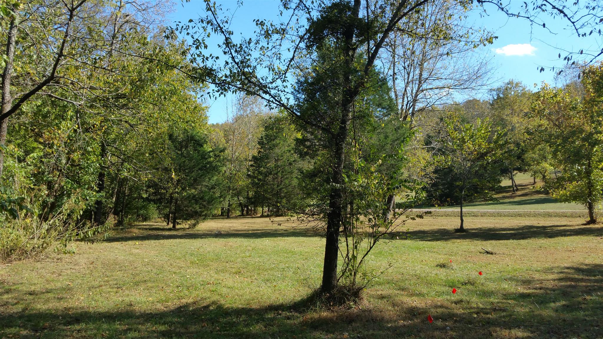 212 Green Road Franklin, TN 37069 - Photo 13 of 17 Gallery Image 13