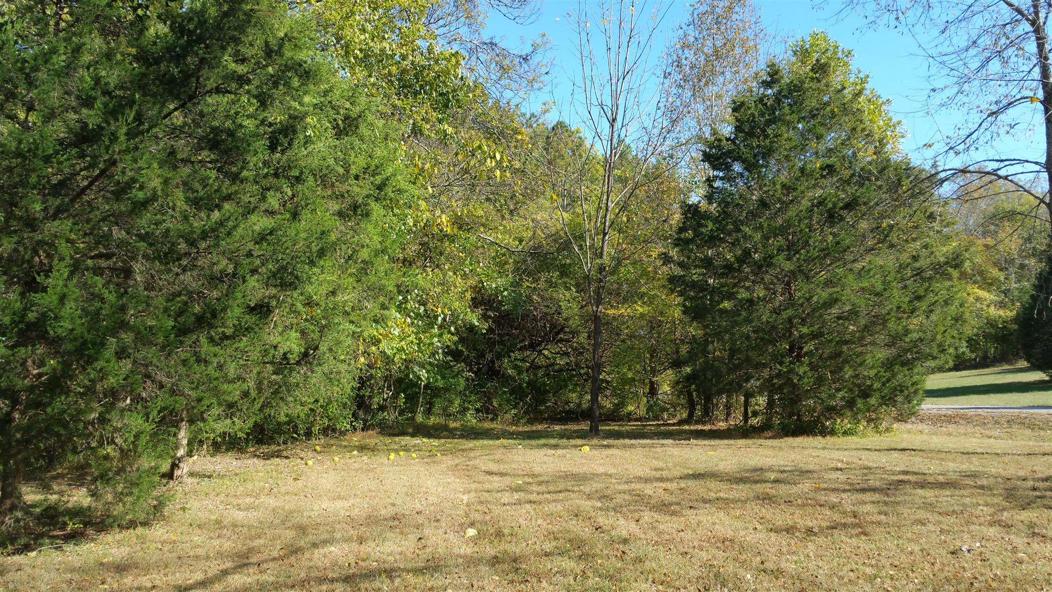 212 Green Road Franklin, TN 37069 - Photo 14 of 17 Gallery Image 14