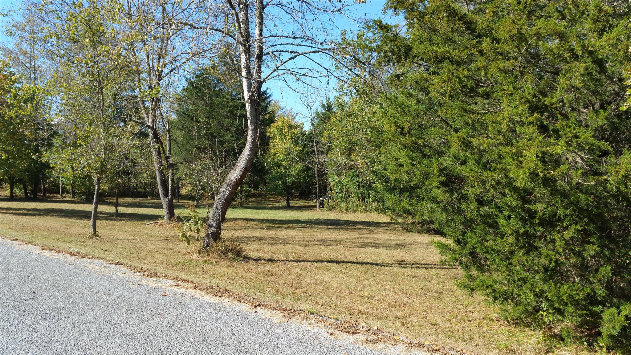 212 Green Road Franklin, TN 37069 - Photo 15 of 17 Gallery Image 15