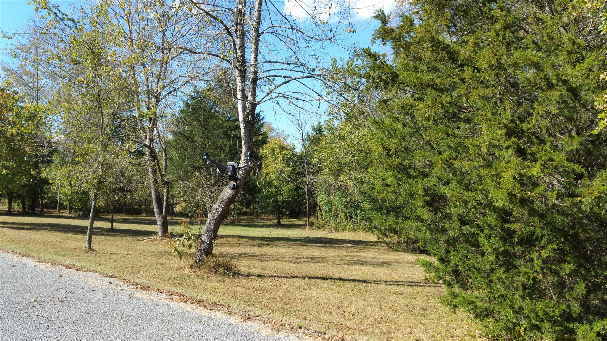 212 Green Road Franklin, TN 37069 - Photo 16 of 17 Gallery Image 16