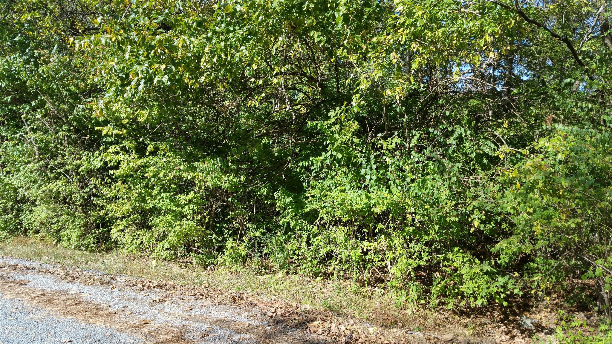 212 Green Road Franklin, TN 37069 - Photo 2 of 17 Gallery Image 2