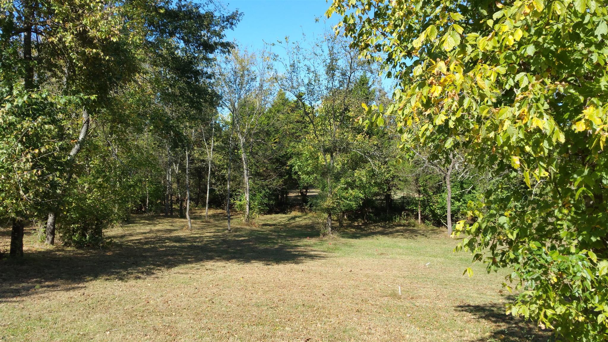 212 Green Road Franklin, TN 37069 - Photo 3 of 17 Gallery Image 3