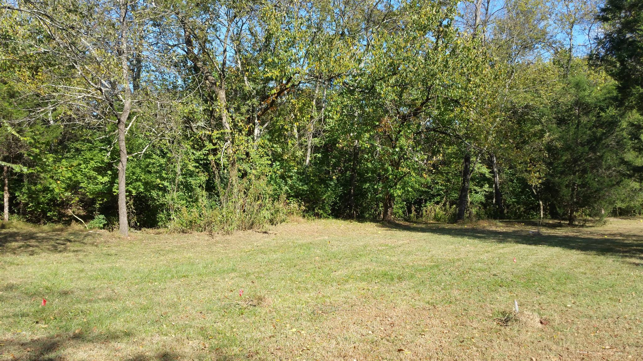 212 Green Road Franklin, TN 37069 - Photo 4 of 17 Gallery Image 4