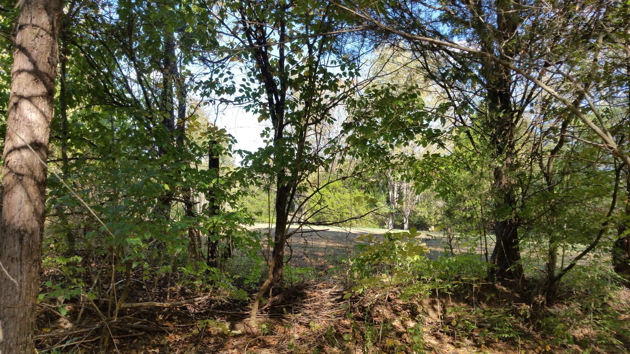 212 Green Road Franklin, TN 37069 - Photo 10 of 17 Gallery Image 10