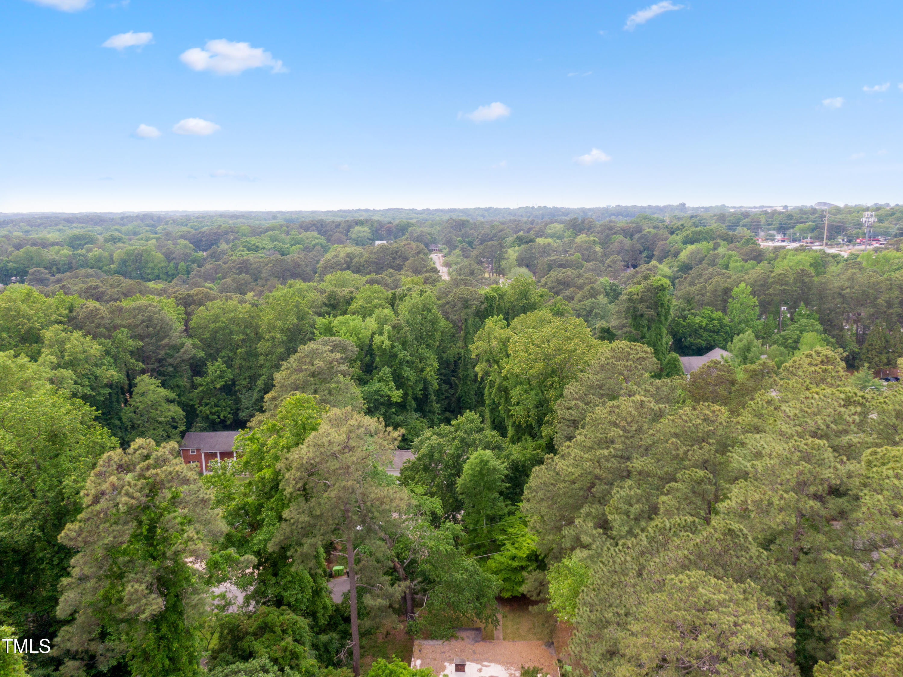 1208 Gorman Street Raleigh, NC 27606 - Photo 18 of 18 Skyline to NCSU (6)