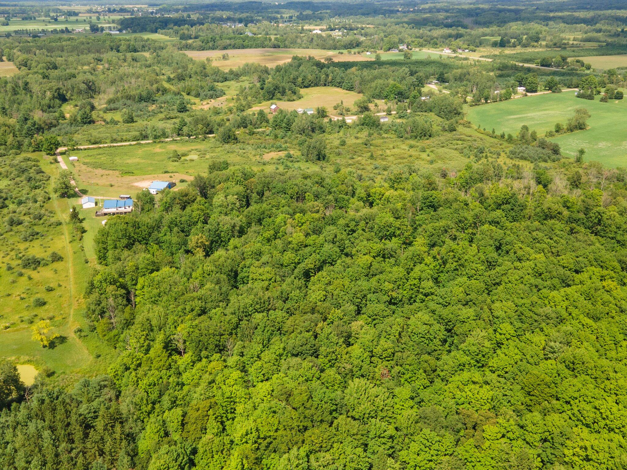 3481 5 Mile Road Sears, MI 49679 - Photo 41 of 83 12-web-or-mls-DJI_0021