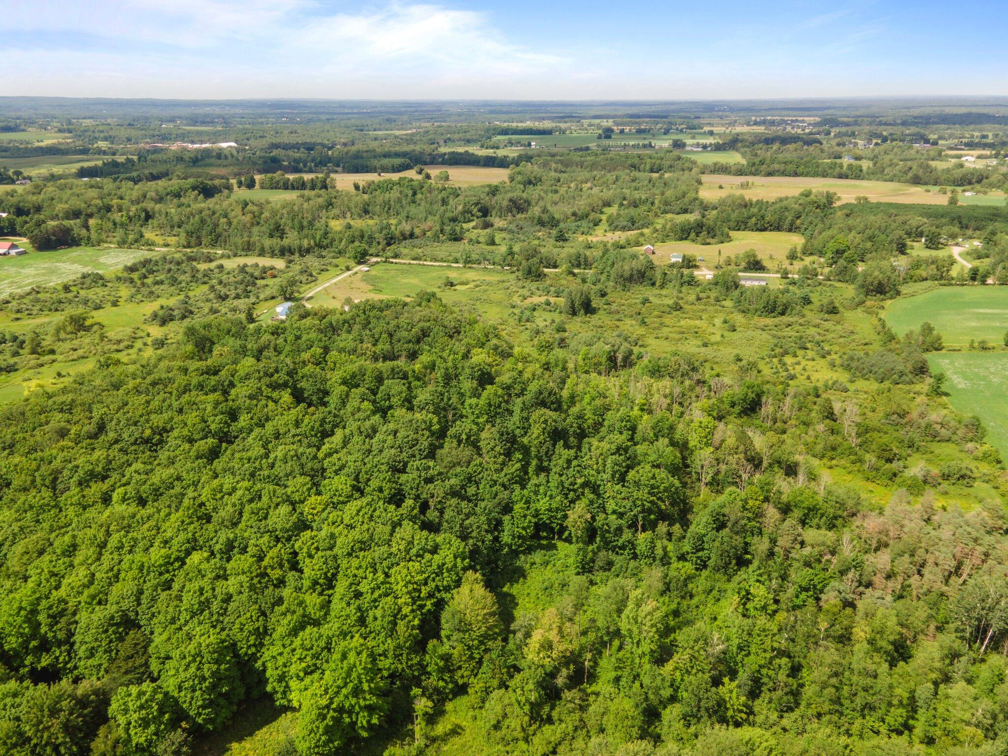 3481 5 Mile Road Sears, MI 49679 - Photo 43 of 83 14-web-or-mls-DJI_0024