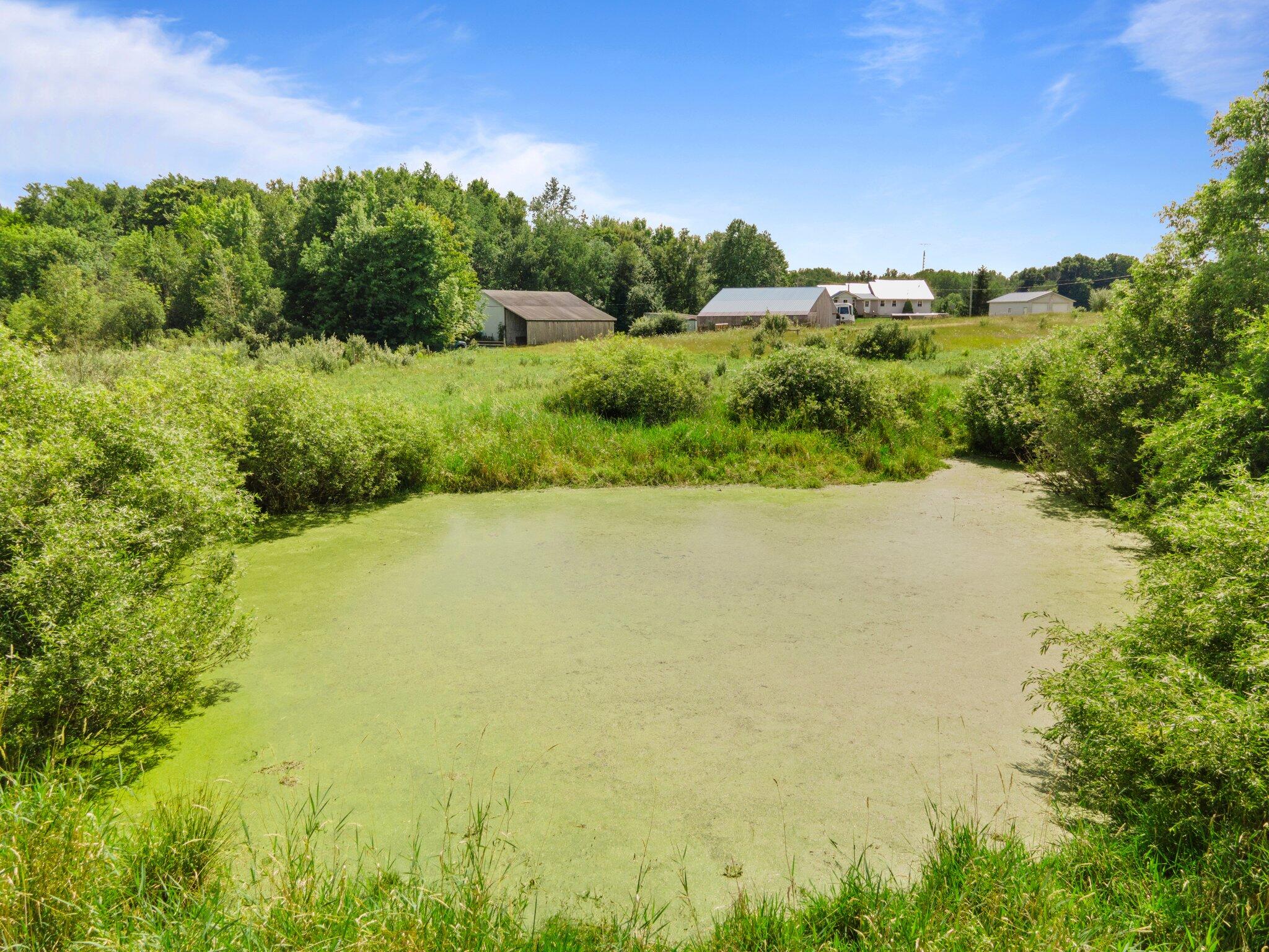 3481 5 Mile Road Sears, MI 49679 - Photo 5 of 83 8-web-or-mls-DJI_0012