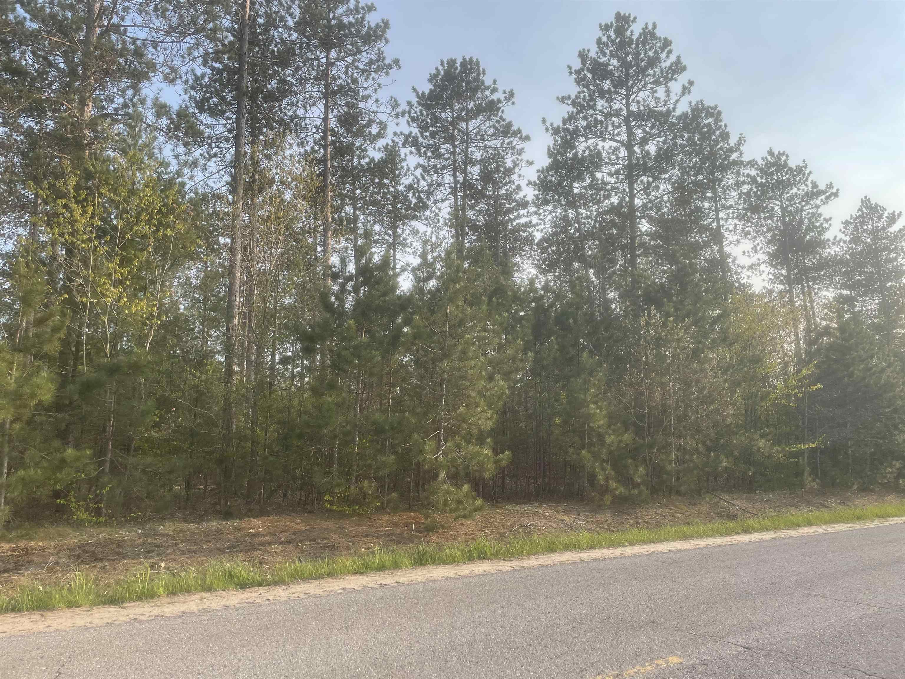 Lot G Lot G Riley, Unit LOT: G Interlochen, MI 49643 - Photo 5 of 10