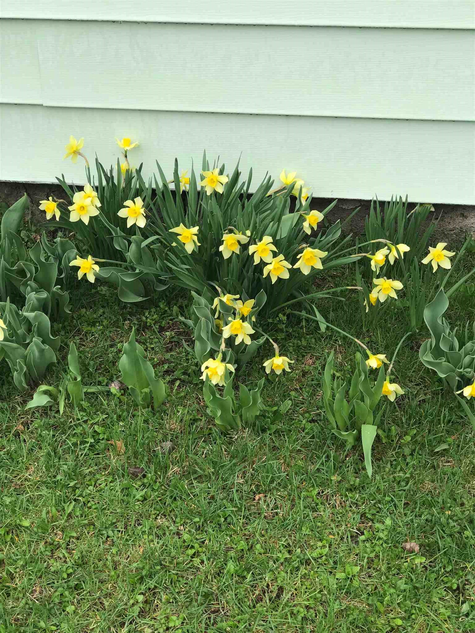 2937 Jennifer Road Fort Wayne, IN 46816 - Photo 28 of 28