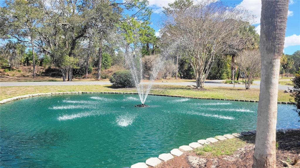 7858 Southwest 112th Lane Ocala, FL 34476 - Photo 25 of 25 a view of yard with swimming pool and trees