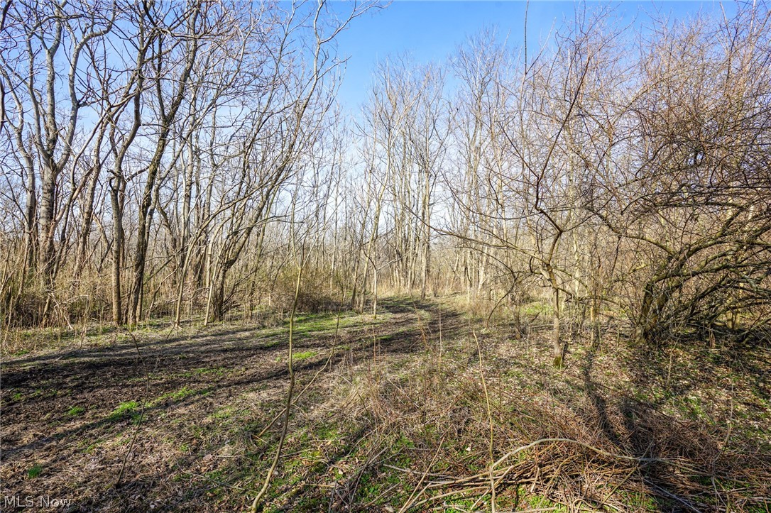 York Road Adena, OH 43901 - Photo 43 of 50 View of nature