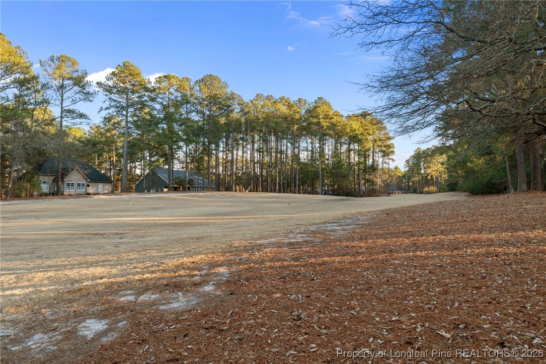 30181 East Lake Road Wagram, NC 28396 - Photo 11 of 38 a view of basketball court