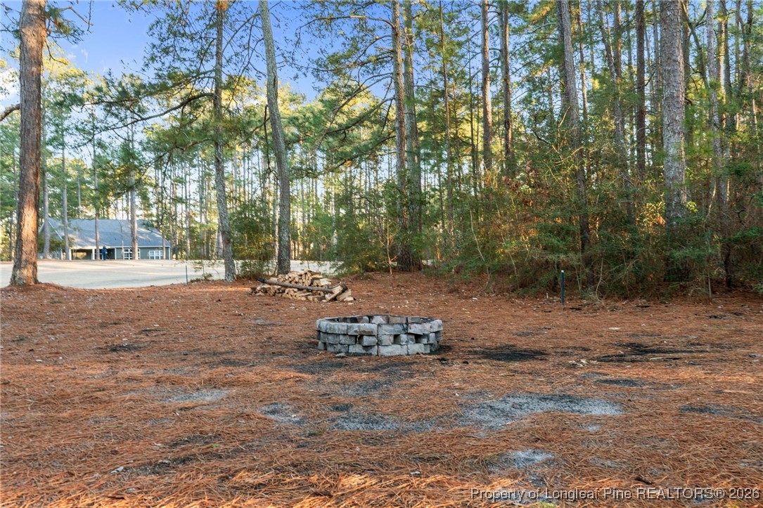 30181 East Lake Road Wagram, NC 28396 - Photo 14 of 38 a backyard of a house with table and chairs