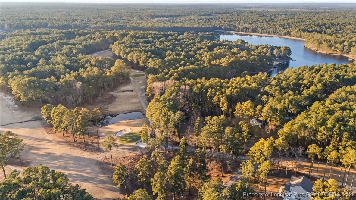 30181 East Lake Road Wagram, NC 28396 - Photo 3 of 38 an aerial view of residential house with outdoor space