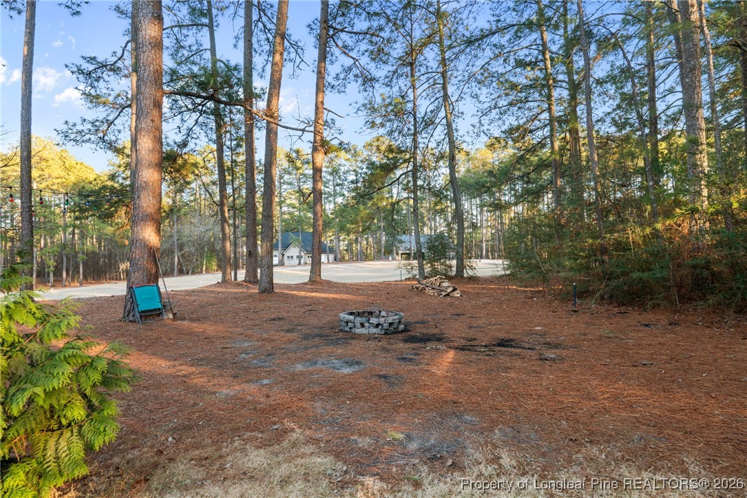 30181 East Lake Road Wagram, NC 28396 - Photo 8 of 38 a view of road with large trees
