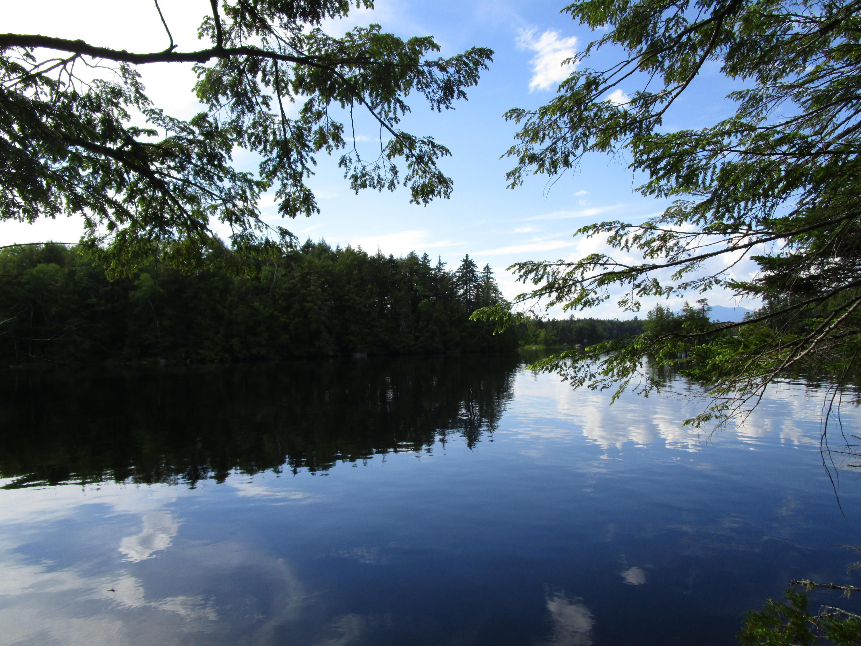 Lot#6 Elbow Lake Road Millinocket, ME 04462 - Photo 2 of 14 IMG_0702