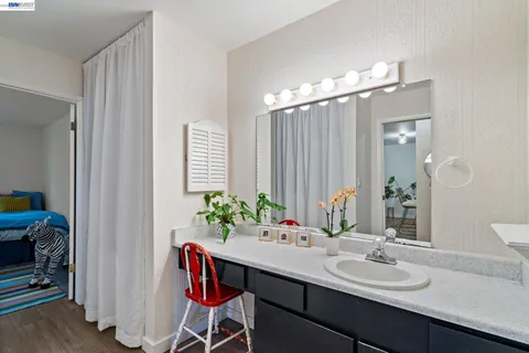 a view of a backyard with plants