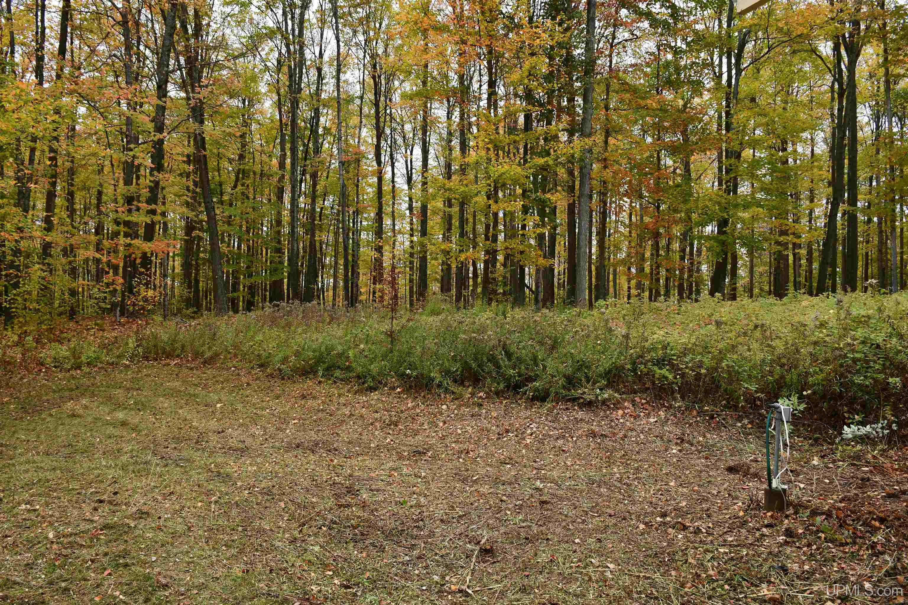 Tbd County Line Road Foster City, MI 49834 - Photo 56 of 56