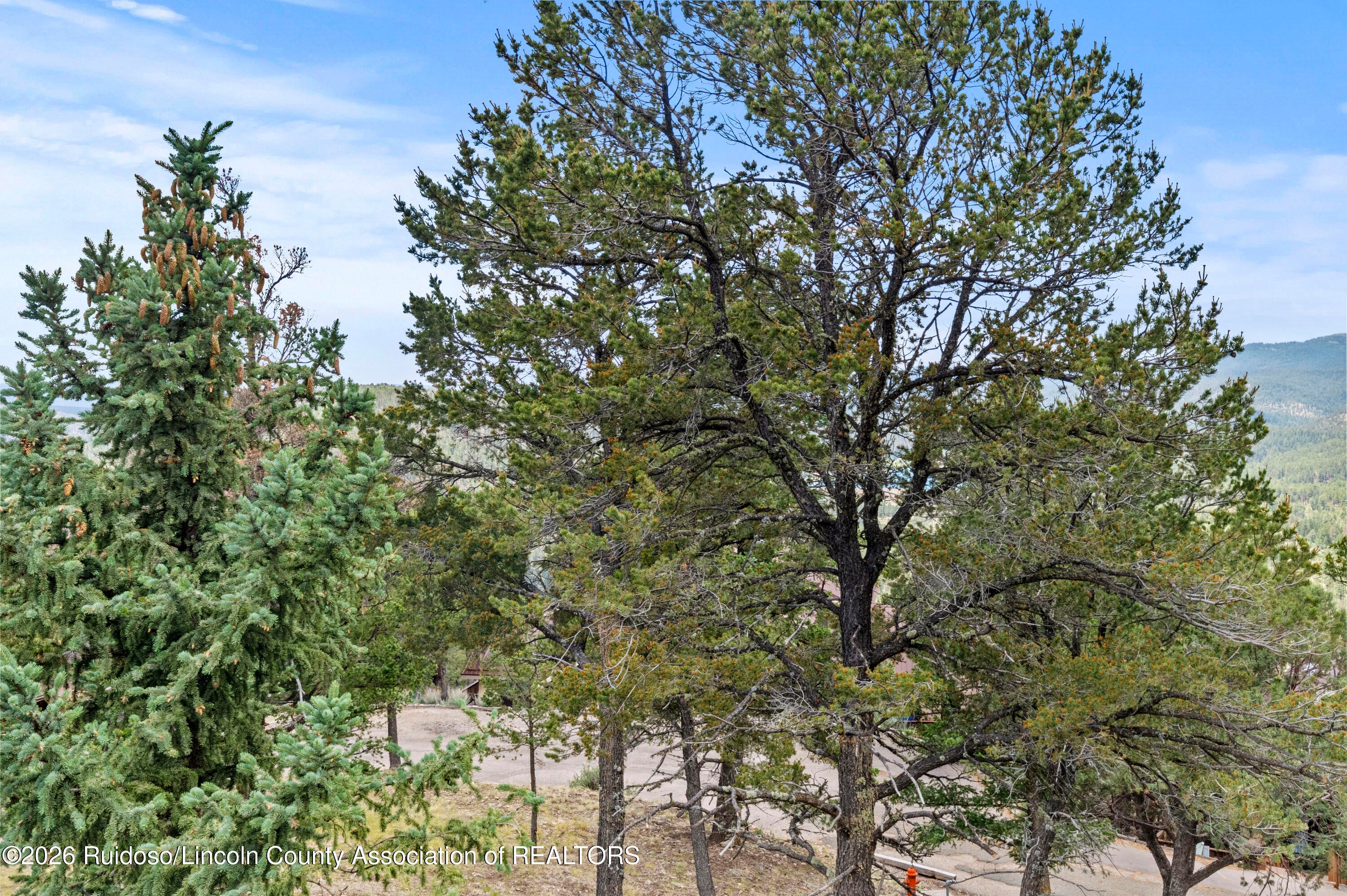 418 Excalibur Road, Unit B Ruidoso, NM 88345 - Photo 77 of 81 Gallery Image 77