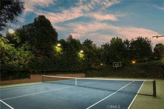 a road view with a trees