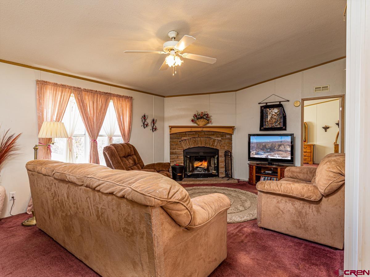 19987 Green Valley Road Cedaredge, CO 81413 - Photo 5 of 25 a living room with furniture and a fireplace